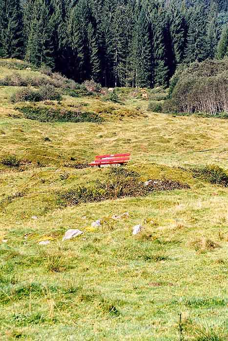 Eine rote Bank